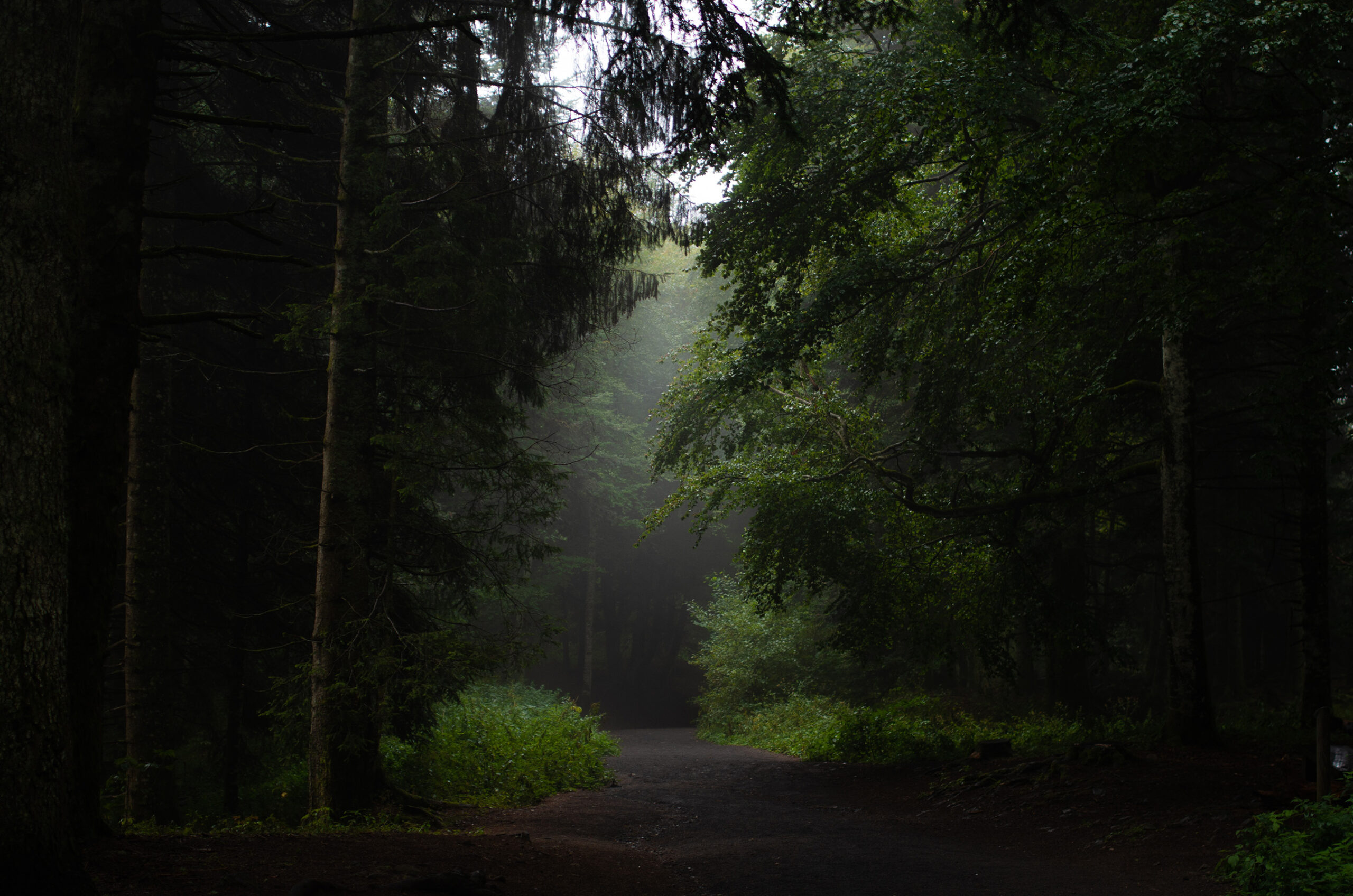 inversión responsable