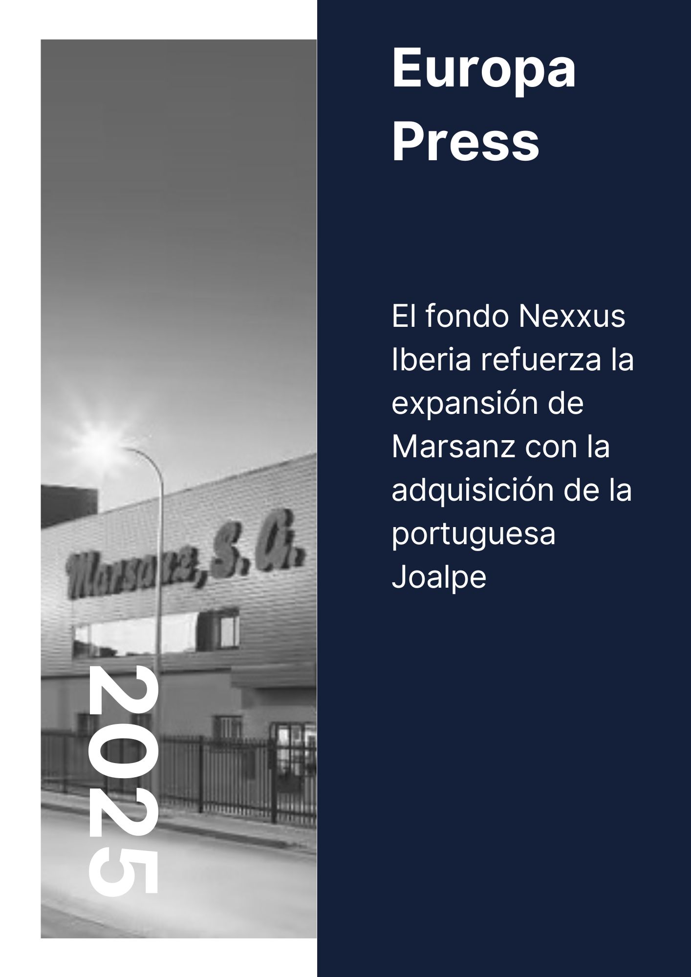 Black and White Monochrome Professional Annual Report (11)